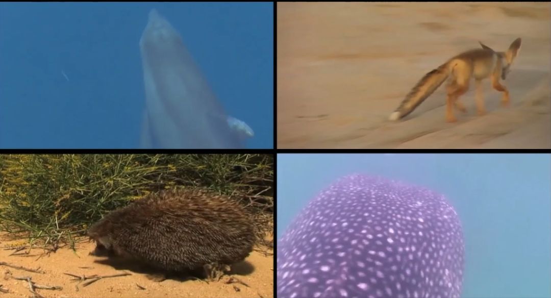 HB火博·(中国)体育有限公司官网