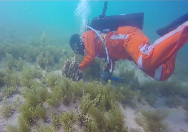 HB火博·(中国)体育有限公司官网