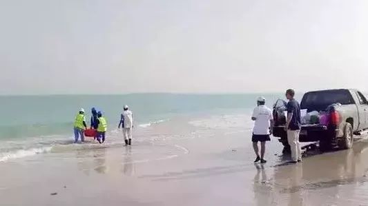 HB火博·(中国)体育有限公司官网