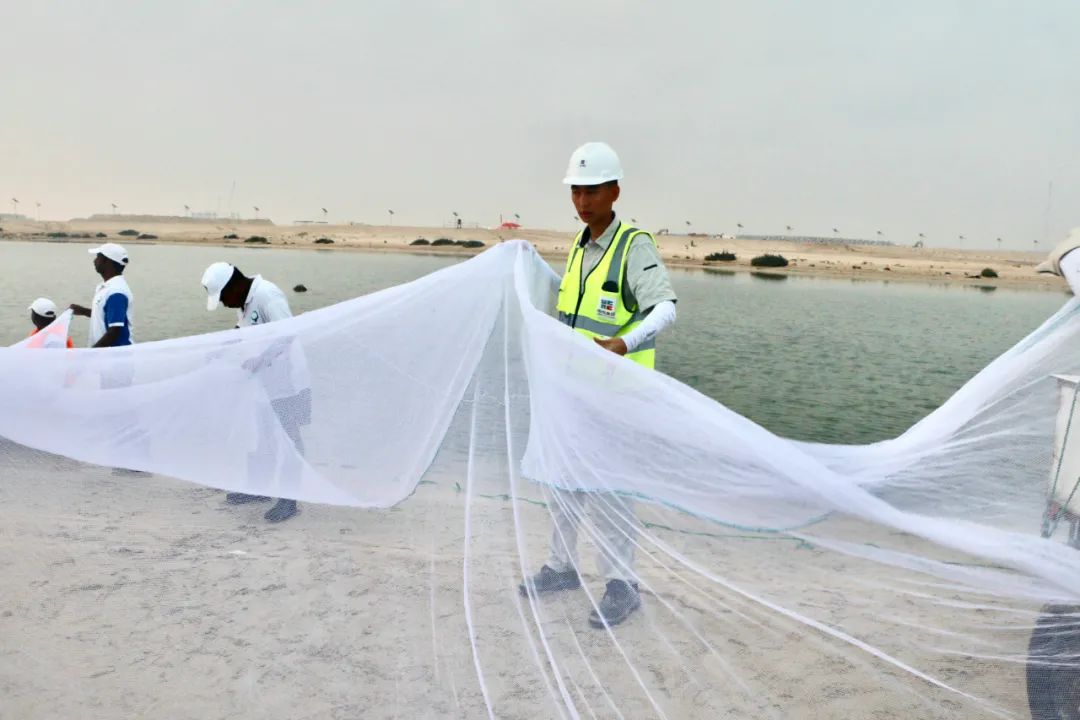 HB火博·(中国)体育有限公司官网