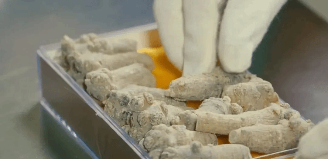 HB火博·(中国)体育有限公司官网