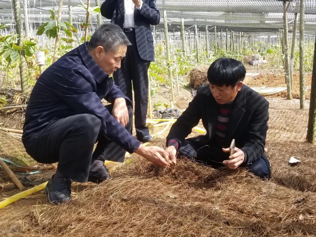 HB火博·(中国)体育有限公司官网