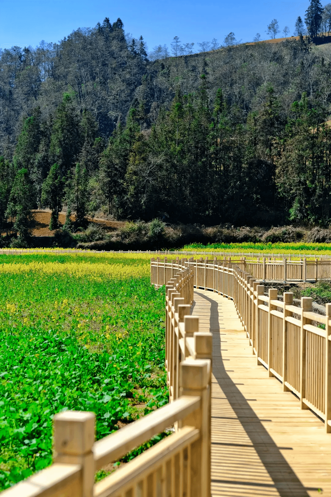 HB火博·(中国)体育有限公司官网