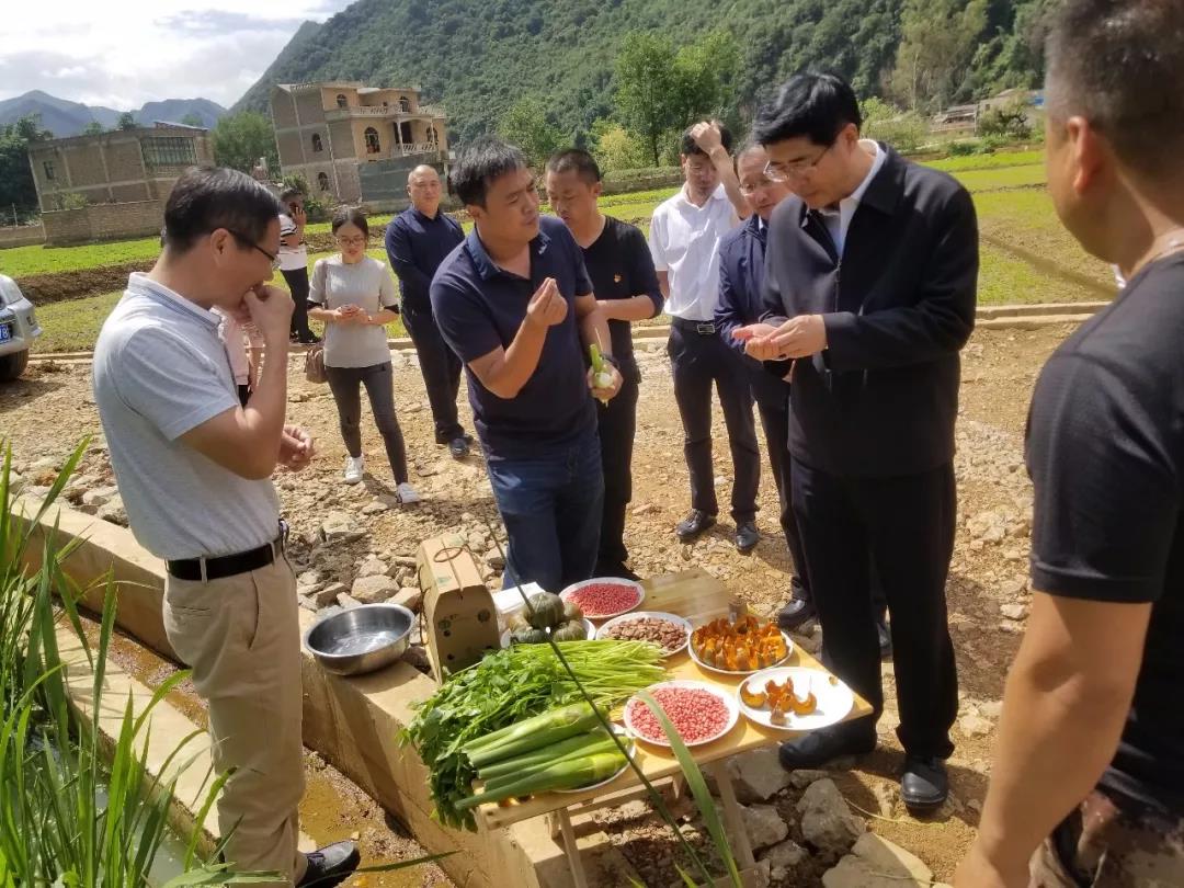 HB火博·(中国)体育有限公司官网