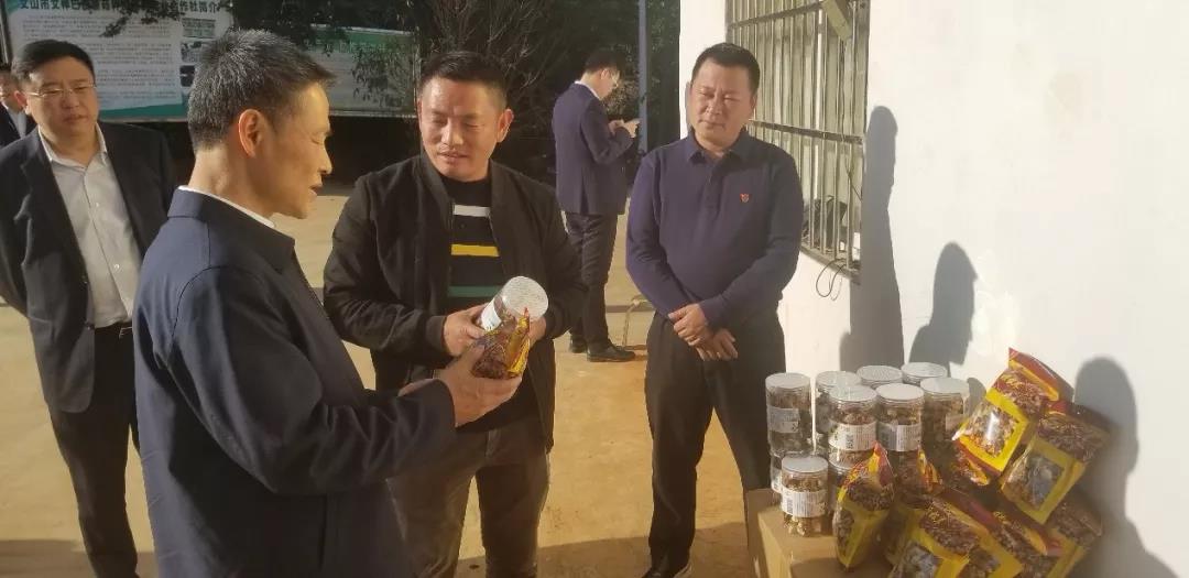 HB火博·(中国)体育有限公司官网