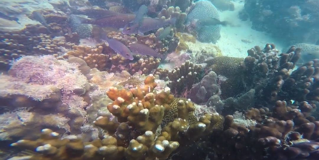 HB火博·(中国)体育有限公司官网