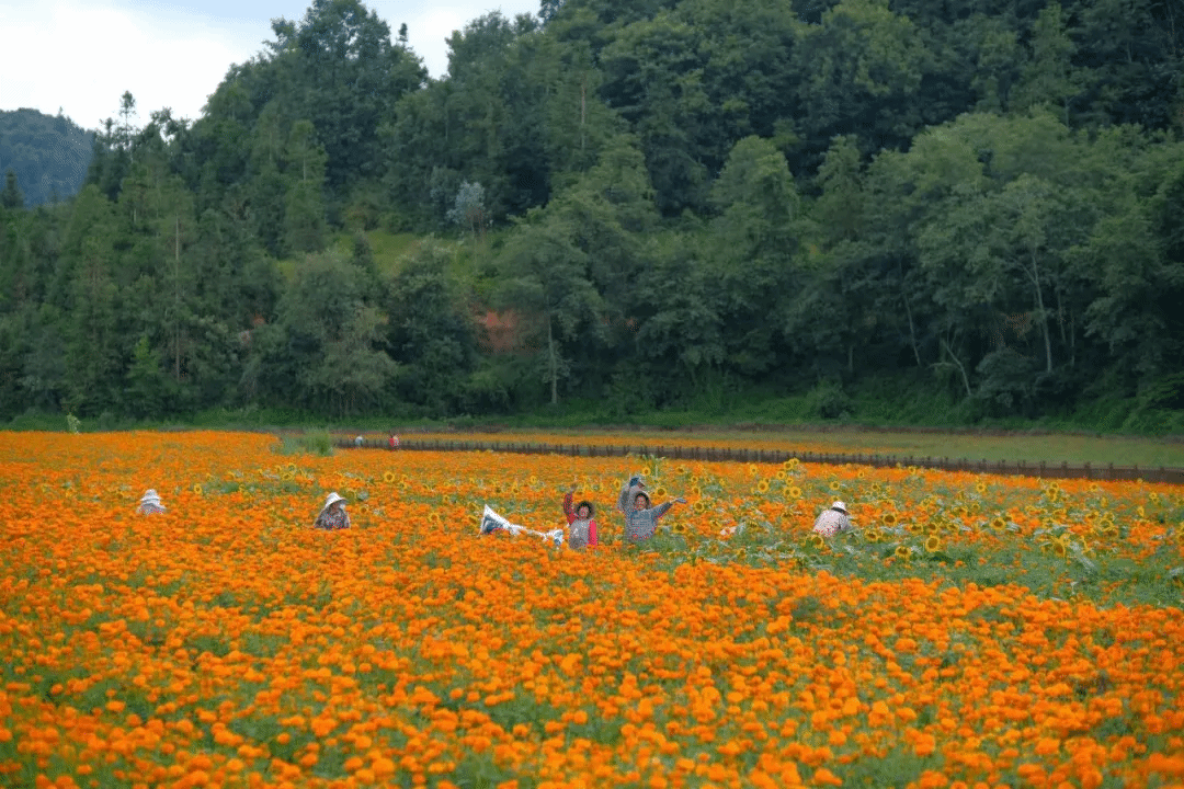 HB火博·(中国)体育有限公司官网