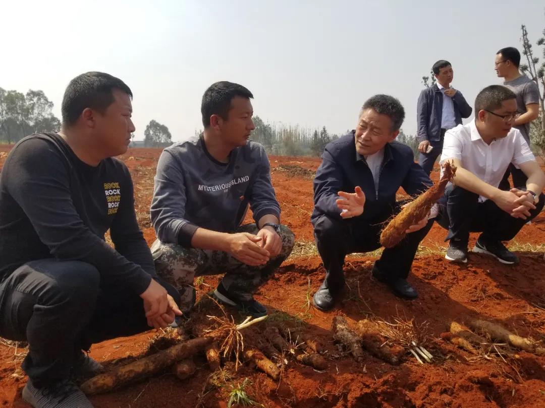 HB火博·(中国)体育有限公司官网