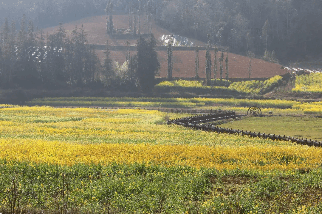 HB火博·(中国)体育有限公司官网
